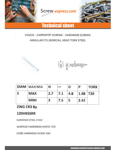 1 x Screw HARDWARE ANGULAR Pan Head T20 cut...