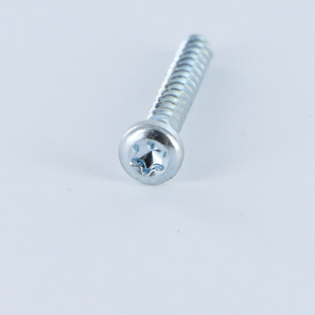 1 x Screw For Plastic Pan Head T20 4X12 Zinc Plated