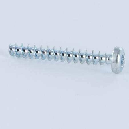 1 x Screw For Plastic Pan Head T20 4X25 Zinc Plated