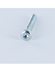 Screw For Plastic Pan Head T20 4X25 Zinc Plated 2