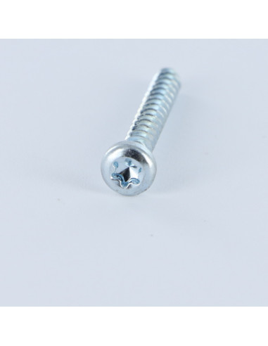 1 x Screw For Plastic Pan Head T20 4X25 Zinc...