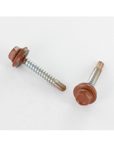 1 x Self Drilling Hexagonal Head 4.8X19...