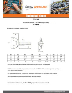 Screw Wing M12X50 Form American Zinc Plated 2