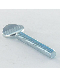 Shoulderless Thumb Screw M6X35 Zinc Plated