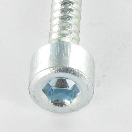 1 x Thread Rolling Screw Socket Head Hexagon Socket 5 4.8X60 Zinc Plated