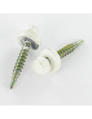 1 x Self Drilling Hexagonal Head 4.8X19...