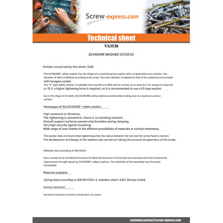 1 x Washer SCHNORR M6 Steel Type S 416300