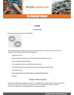Washer Of Lock M20 Zinc Plated 2