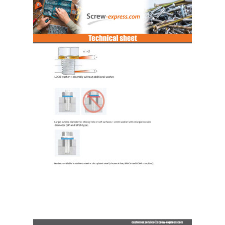 1 x Washer NORD-LOCK ® Steel DELTA PROTECT M22 720 Hour Salt Spray Without Red Rust