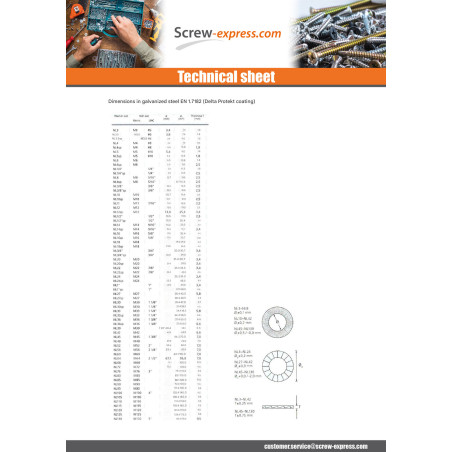 1 x Washer NORD-LOCK ® Zinc Plated M20