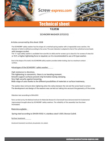 1 x Washer SCHNORR VS M10X16X2 423100 Zinc Plated