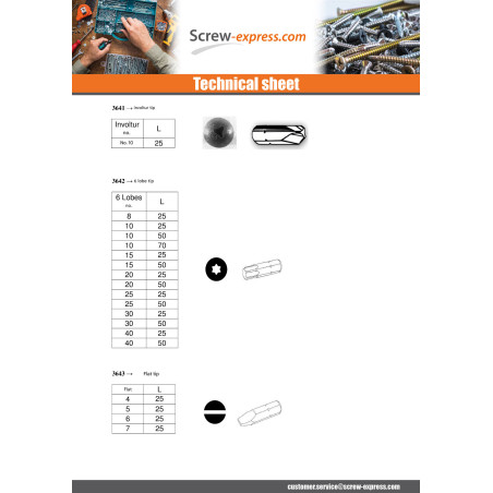 1 x Bit Security Screw HC+TETON M10 Hexagon Socket 6