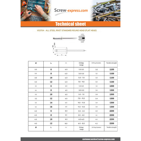 1 x Rivet Steel/ steel ZING 4X16 Thickness Of Panel 10 to 12 Flat Head