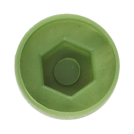 1 x Plastic cap Screw Diameter 6.3 Flat 10 Ral6011/Reseda Green