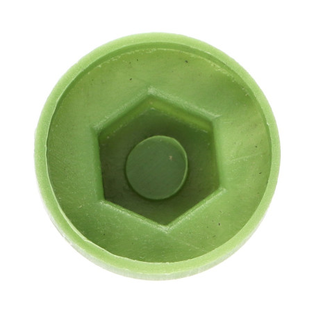 1 x Plastic cap Screw Diameter 6.3 Flat 10 Ral6011/Reseda Green
