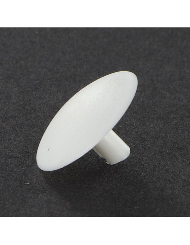 1 x Cap Plastique Head Diameter: 15 DT 3 Length...