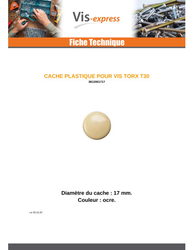 1 x Cover Cap Torx T30 Head Diameter: 17 Nylon...