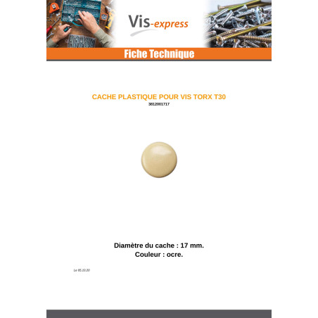 1 x Cover Cap Torx T30 Head Diameter: 17 Nylon OCHER