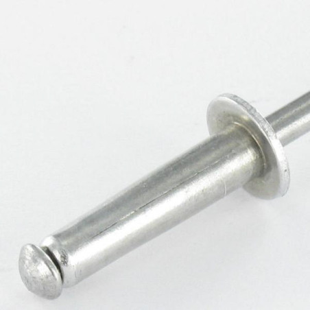 1 x Rivet Blind GOLIGHT ALU/ALU TRS 4.8X21