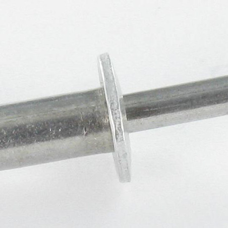 1 x Rivet Blind GOLIGHT ALU/ALU TRS 4.8X21
