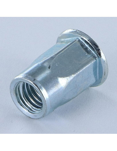 1 x Nut Rivet Flat Head M10X23 GOFIX ACPSH35...