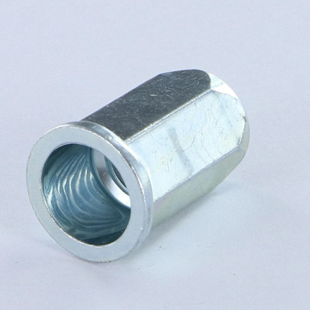 1 x Nut Rivet Hexagonal Flat Head M5X12 ACPTH 30 Z