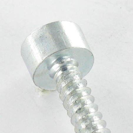 1 x Thread Rolling Screw Socket Head Hexagon Socket 5 5.5X19 Zinc Plated