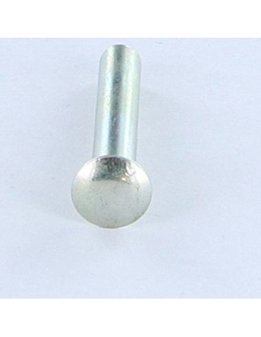 1 x Rivet FORES Cheese Head 5X30 Zinc Plated