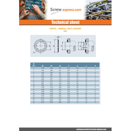 1 x Retaining Rings SELF LOCKING Diameter 20 Type 876 Steel