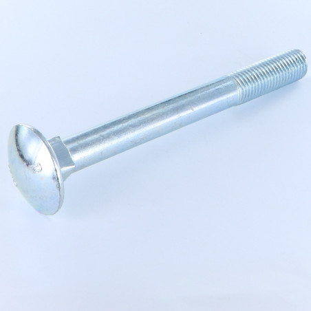 1 x Carriage Bolt Partial Thread M20X120 Zinc Plated
