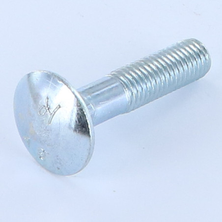 1 x Carriage Bolt M10X45 Partial Thread Zinc Plated