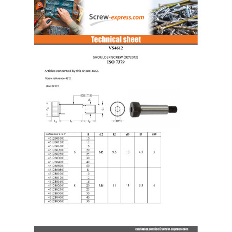1 x Machine Screw Shoulder Hexagon Socket 4 M6/11 8X12 Class 12.9 Steel