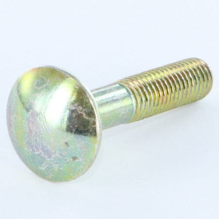 1 x Carriage Bolt M8X70 Thread Length: 22 Partial Thread Yellow Zinc