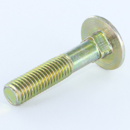 1 x Carriage Bolt Partial Thread M8X70 Thread Length: 22 Yellow Zinc