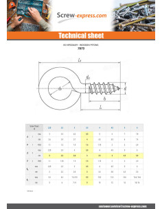 Piton Wood Brass 4X30 2