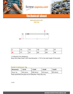 Kg of nails Brass Head Male 2.7X50 Head Diameter: 3.8 2