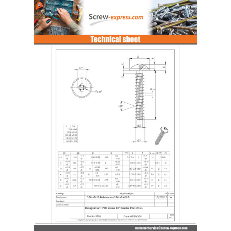 1 x Screw For Plastic Mushroom Pozi PZ2 5X20 Zinc Plated