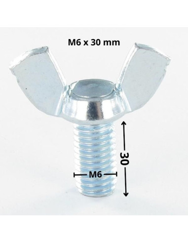 1 x Screw Wing M6X30 Form American Zinc Plated