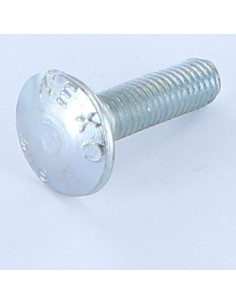 Carriage Bolt M8X25 Thread Length: 22 Partial Thread...