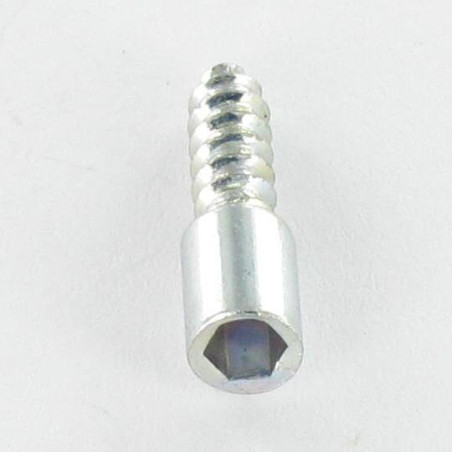 1 x Thread Rolling Screw Socket Head Hexagon Socket 3 3.5X10.5 Zinc Plated