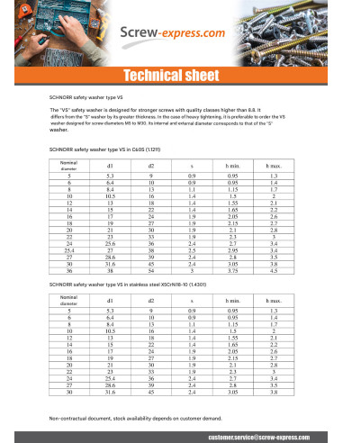 1 x Washer SCHNORR M4 Steel Type S 412700