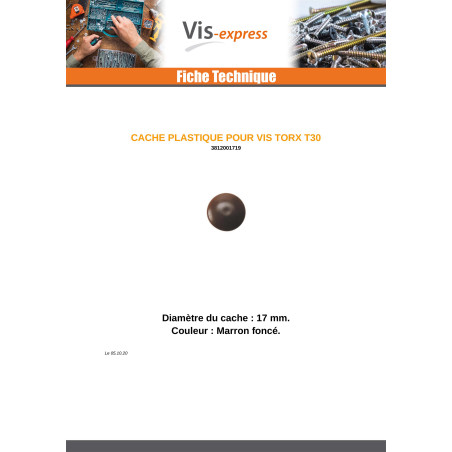 1 x Cover Cap Torx T30 Head Diameter: 17 Nylon Brown FONC