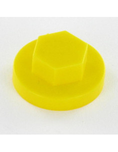 Plastic cap Screw Diameter 6.3 Flat 10 RAL1021