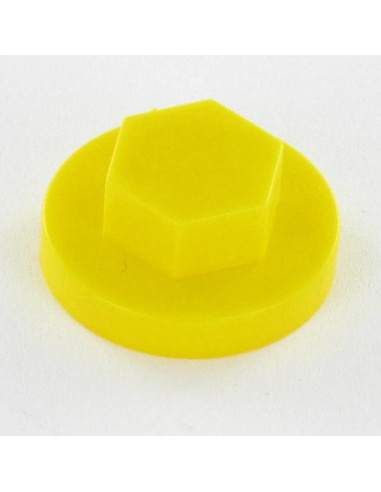 1 x Plastic cap Screw Diameter 6.3 Flat 10 RAL1021