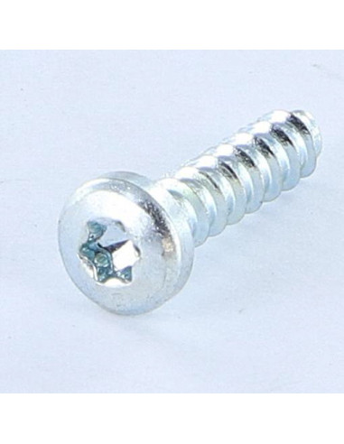 1 x Screw For Plastic TRILOBE Cylindrical...