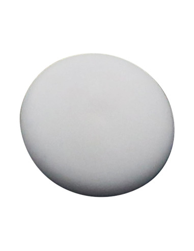 1 x Cap Plastique Head Diameter: 12 D.T. 2.5...