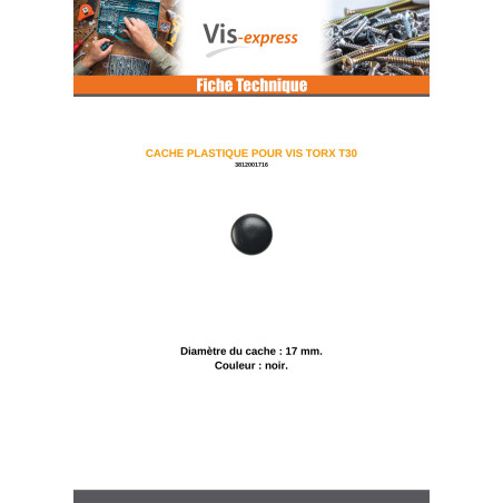 1 x Cover Cap Torx T30 Head Diameter: 17 black nylon