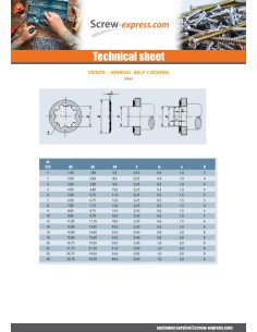 Retaining Rings SELF LOCKING Diameter 2 Steel 2