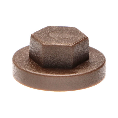 1 x Plastic cap Screw Diameter 6.3 Flat 10 Ral8014/Sepia Brown