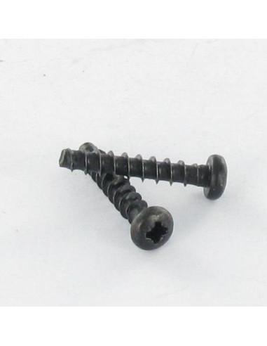 1 x Screw For Plastic TRILOBE Cylindrical...